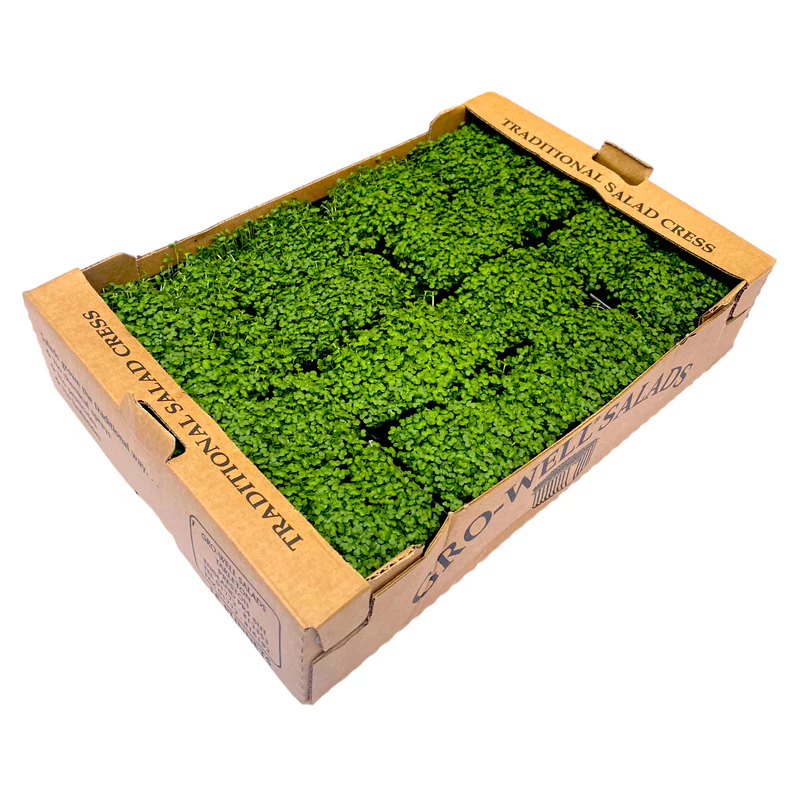 Mustard & Cress (Box of 16) - Torbay Fruit Sales